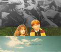 Ron & Hermione - hermione-granger fan art