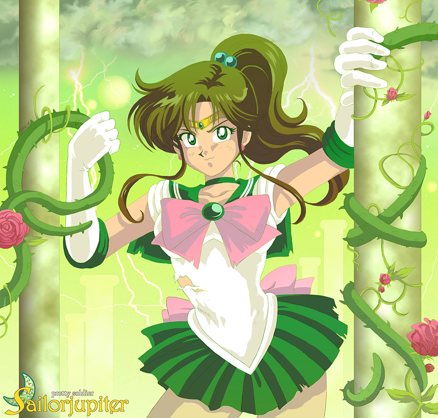 Sailor Jupiter - Sailor Jupiter Fan Art (24274302) - Fanpop.