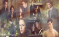 twilight-series - Twilight Saga Wallpaper Fan Art wallpaper
