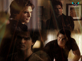 the-vampire-diaries - Vampire Diaries Wallpaper wallpaper
