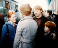 DH <3 - harry-potter photo