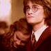 Harry Potter - harry-potter icon