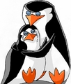 Hurt and Comfort - penguins-of-madagascar fan art