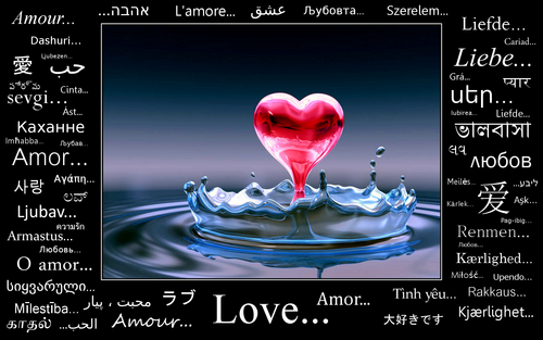  l’amour QUOTE