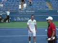 Radek Stepanek 2011 - tennis photo