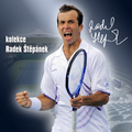 Radek Stepanek  - tennis photo