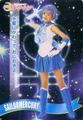 Sailor Mercury PGSM - sailor-mercury photo