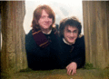 harry and ron - harry-potter photo