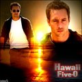 hay - hawaii-five-o photo