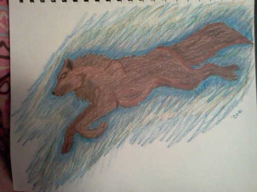 wolves i drew