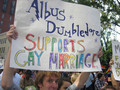 Dumbledore Supports! - lgbt photo