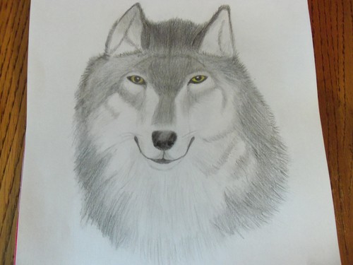  First serigala