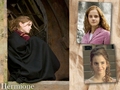 hermione-granger - HGG wallpaper