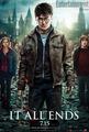Harry Potter And The Deathly Hallows Part 2 - harry-potter photo