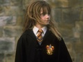 Hermione Granger Wallpaper - hermione-granger wallpaper
