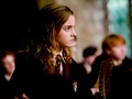 Hermione Granger Wallpaper  - hermione-granger wallpaper