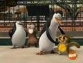 Kowalski, turn back!! - penguins-of-madagascar photo