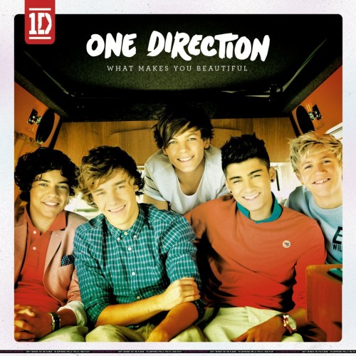 One Direction's New Single!!!♥ :D