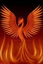  The amazing phoenix