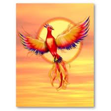  The amazing phoenix