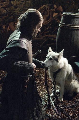  Eddard Stark with Lady