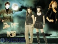 ncis - Ladies of NCIS wallpaper