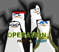Operation: Fight or Flight - fans-of-pom photo