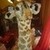  Yes,I draw giraffes and have a 5 foot giraffe plush