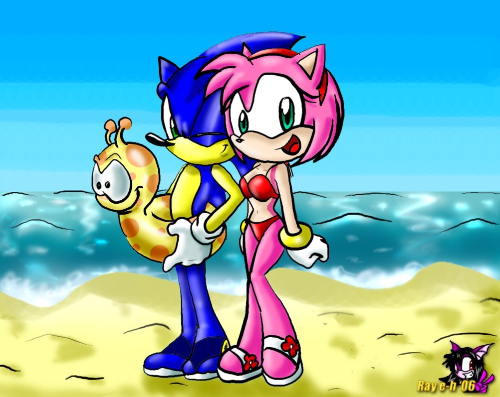 Does Sonic Love Amy Rose? 