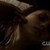 |1x03| But I was wrong. There's nothing  human left in Damon.no good, no kindness