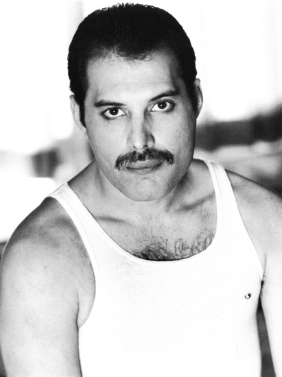 What looks best on Freddie? - Freddie Mercury - Fanpop