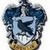  Ravenclaw trains hard and comes back strong with their first victory!