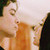  Damon and Elena will get together finally. Yuhuuu.