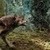 SMeyer Werewolf - Just a giant wolf