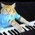  Cat Playing 피아노