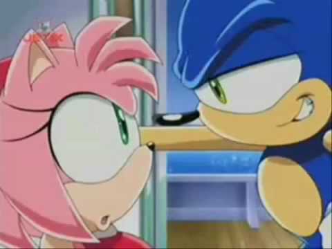 Who does Amy look better paired with? - Amy Rose - fanpop