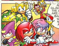  Who's the leader of the Chaotix?