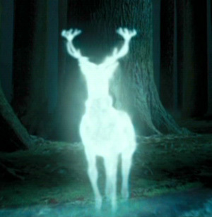  Who's Patronus Charm is this?