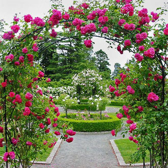 Who sang the song "I never promissed anda a rose garden" ?