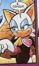  Is Rouge in the Chaotix?