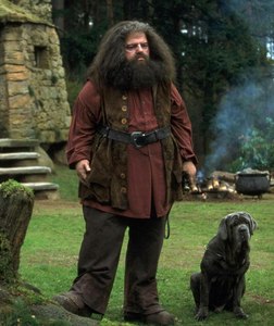  Which house was Hagrid sorted into?