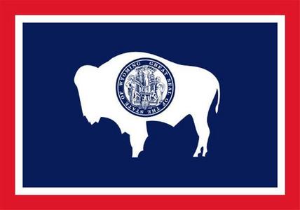  what state flag ?