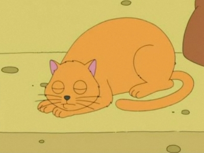  What is the name of Quagmire's Cat?
