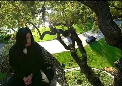  In which 年 Michael said: "You don't climb trees? You're missing out!"