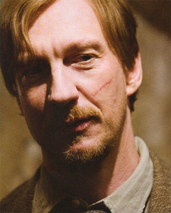  Remus Lupin is a Harry Potter-character, but what is his last name in Norweigan?