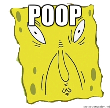 What is the definition for POOP?