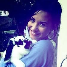  What is Demi's bunny's name?