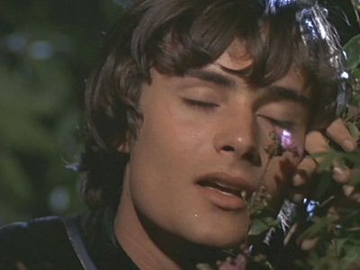  What does Romeo wish he were, as he gazed at Juliet on the balcony?