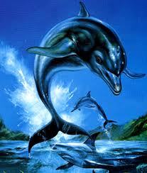  What's the name of SEGA's famous dolphin?