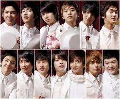  how many percent of stocks did the elf bought in the entire stocks of SME to protect super junior from addind new member?